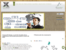 Tablet Screenshot of netfgxpress.com